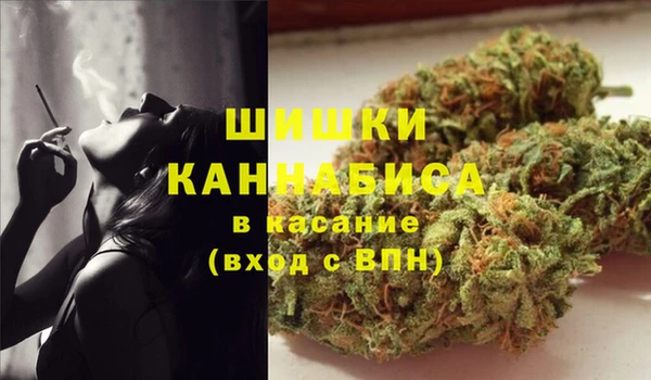 прущие грибы Зеленокумск