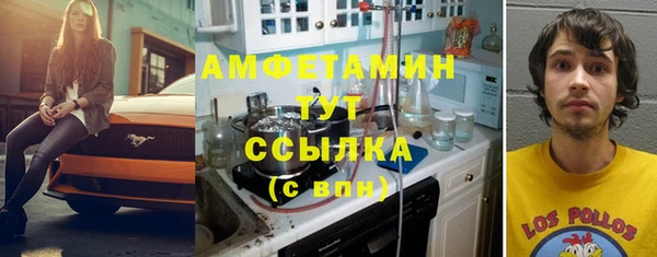 прущие грибы Зеленокумск